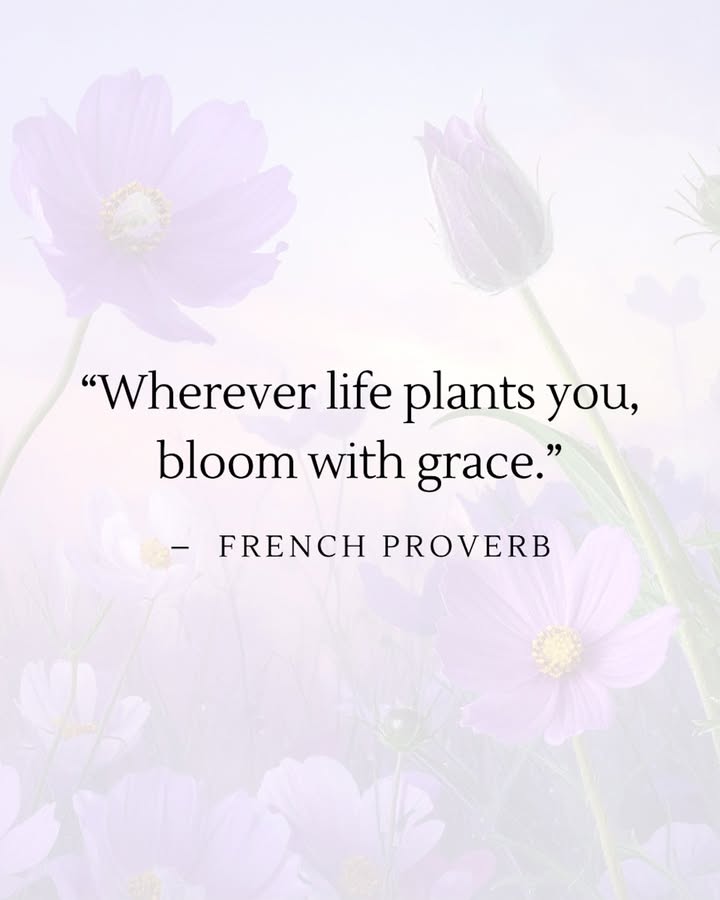 As April unfolds, we're reminded that this season is all about quiet strength and fresh beginnings