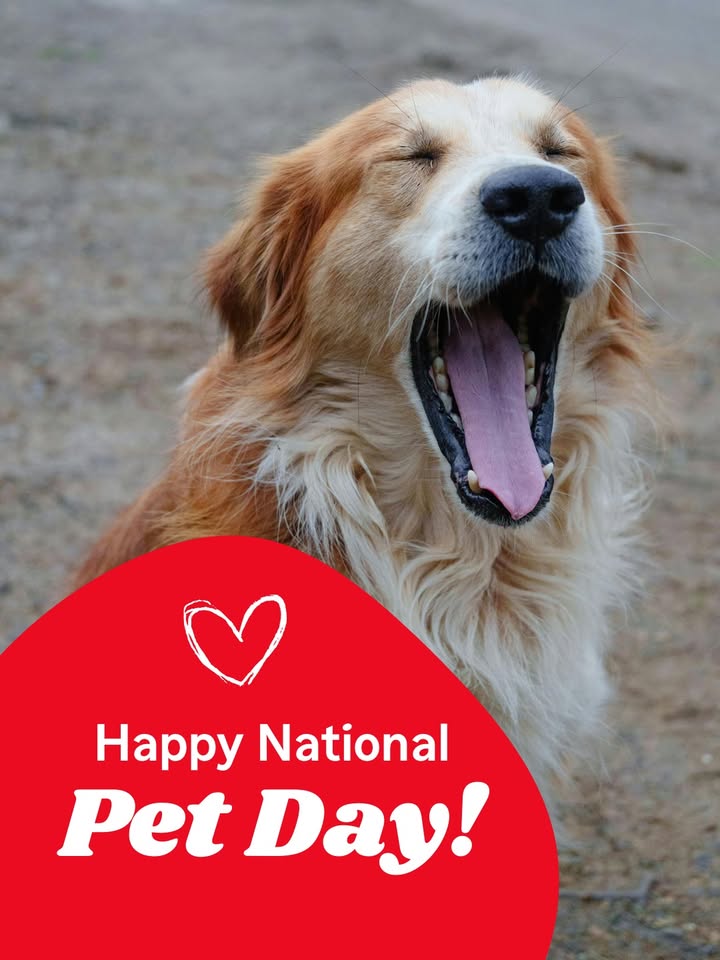 Happy National Pet Day!