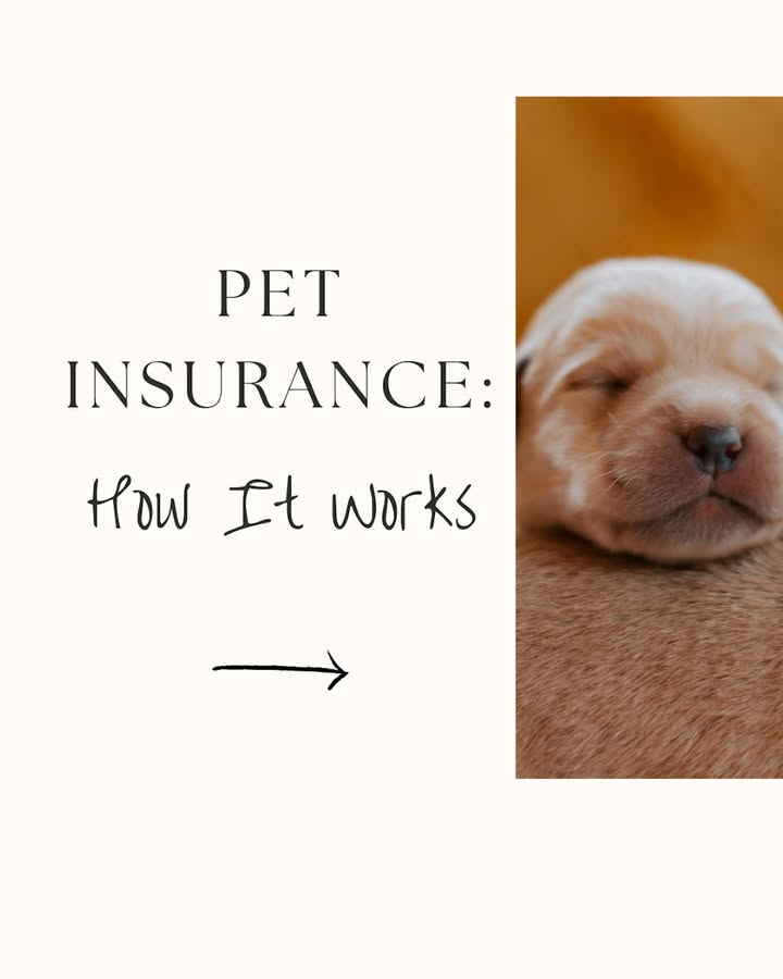 Photos from Great Lakes Independent Insurance Agency's post
