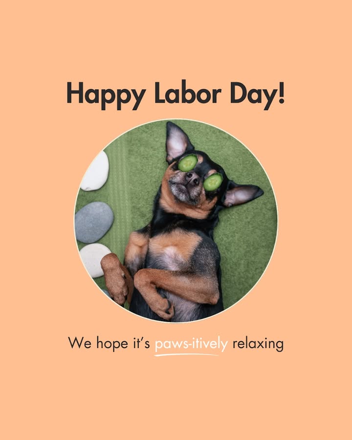 This Labor Day, we’re excited to treat ourselves to some true relaxation and maybe fetch a few extra ZZZs while we’re at it