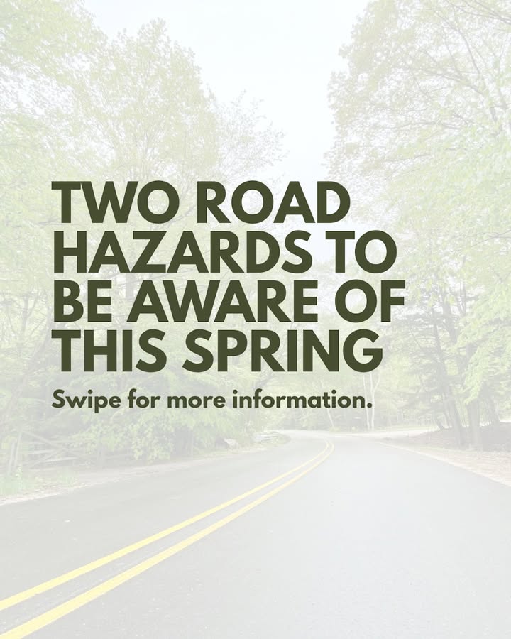 Photos from Great Lakes Independent Insurance Agency's post